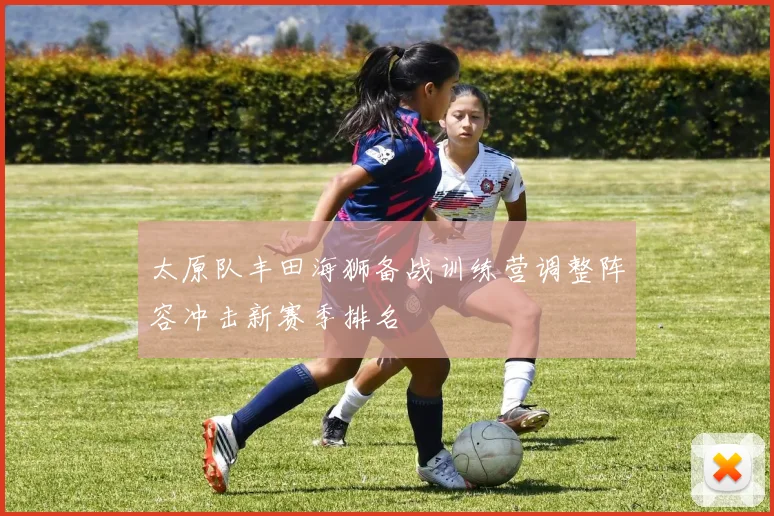 太原队丰田海狮备战训练营调整阵容冲击新赛季排名